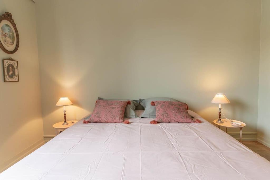 Luxe Et Deco Anglaise Tours Centre Loire Valley Eksteriør billede